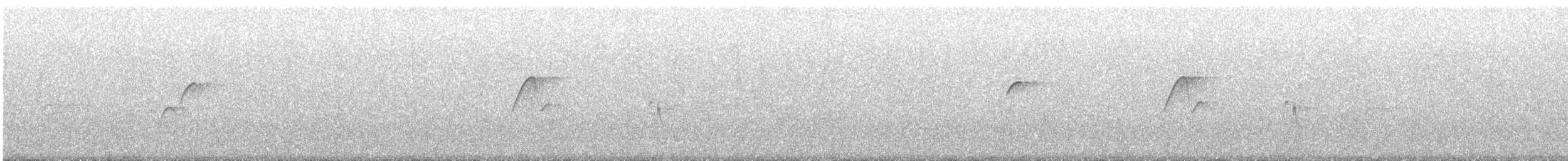Batı Amerika Sinekkapanı (occidentalis/hellmayri) - ML587169091