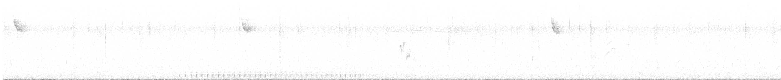 Черноспинный трёхпалый дятел - ML587173921