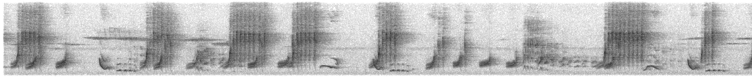 Rotschnabelsäbler - ML587195491