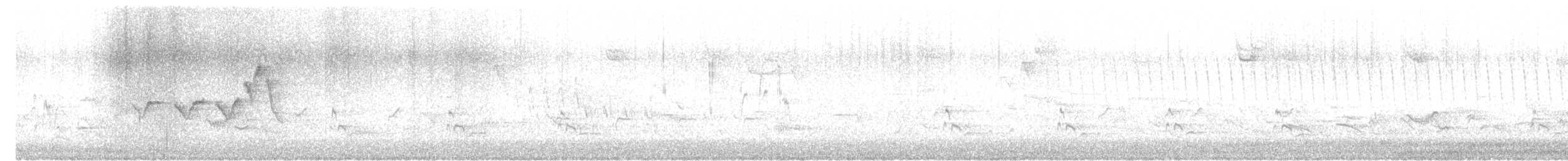 Кактусовый пересмешник - ML587200631