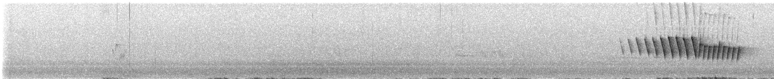 Малая вильсония - ML587246691