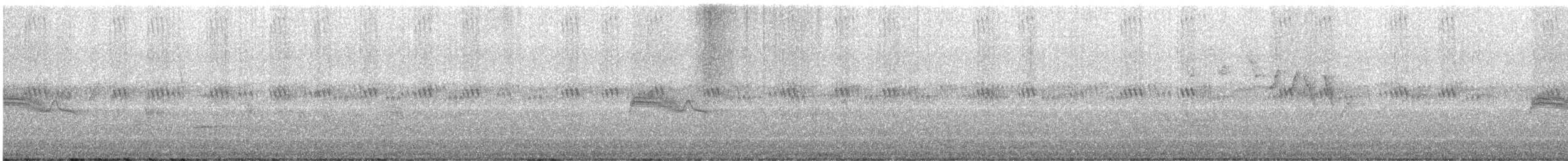 Западный пиви - ML587263181