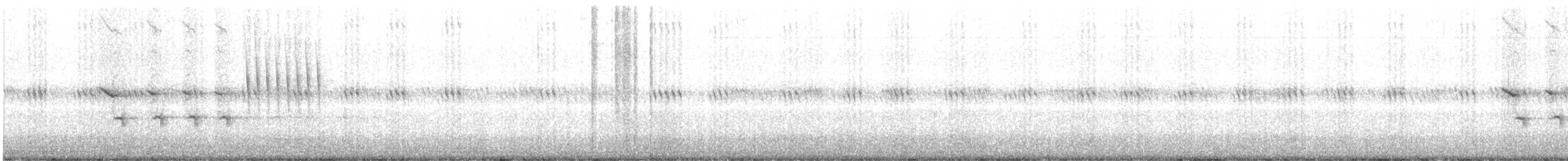 Пятнистый тохи - ML587263491