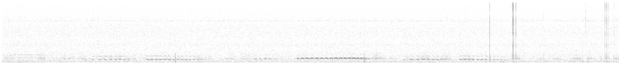 Western Screech-Owl - ML587278421