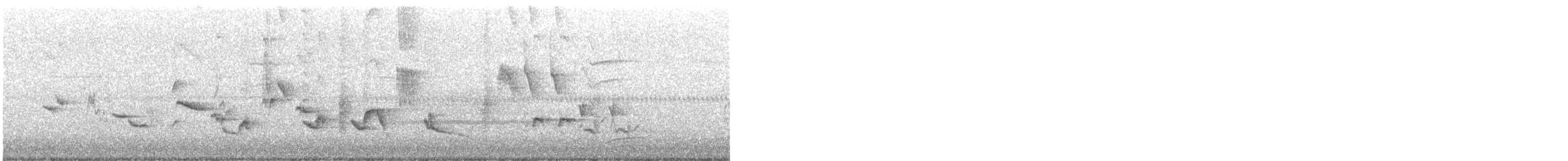 Orchard Oriole - ML587292291