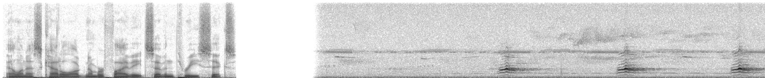 Highland Tinamou (South American) - ML58736