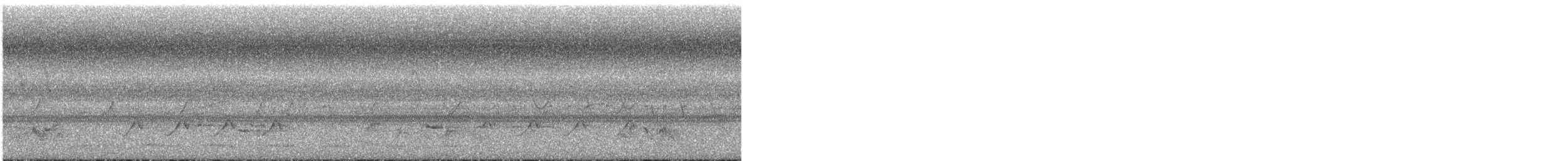 bird sp. - ML587398941