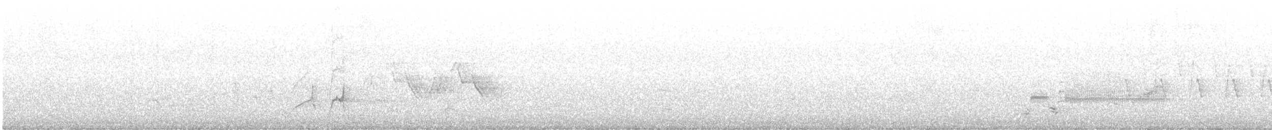 Alder Flycatcher - ML587399441