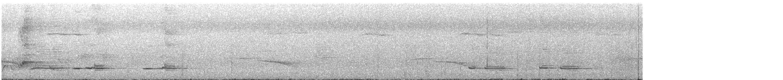 Greater Racket-tailed Drongo - ML587399701