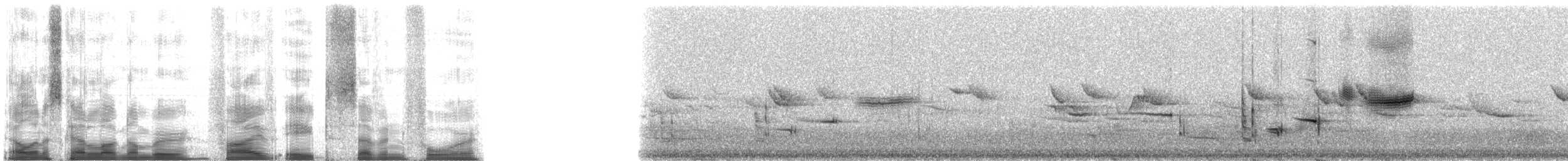 Picchion cramoisi - ML5874