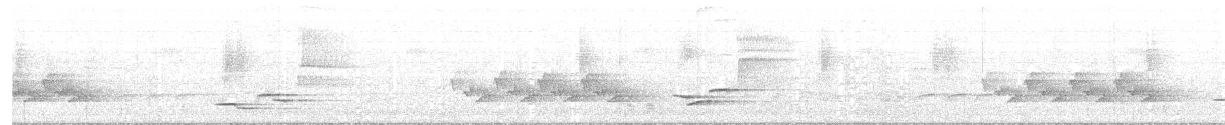 Wood Thrush - ML58740241