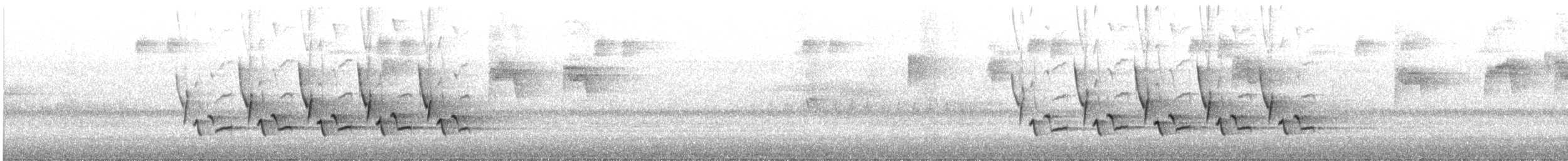 Каролинский крапивник - ML587411671