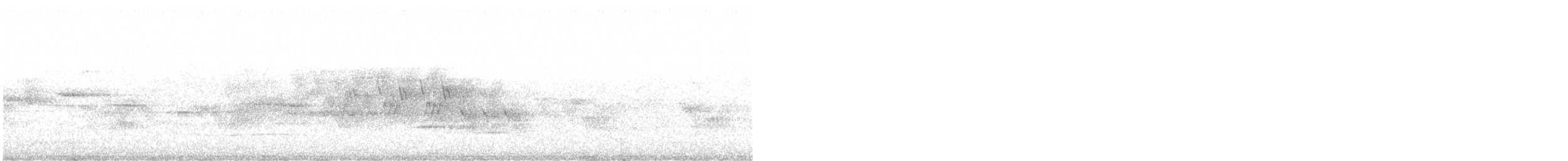Черногорлая хвойница - ML587440851