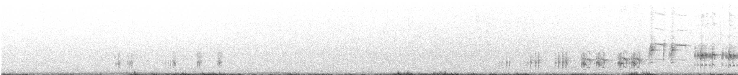 Great Reed Warbler - ML587447461