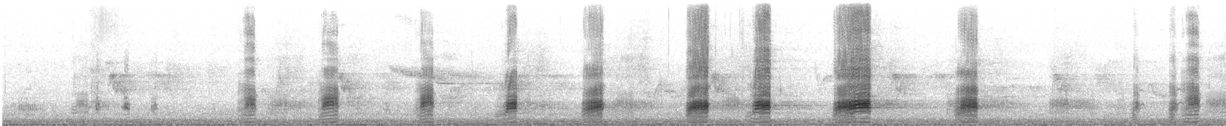 Stockente - ML587456931