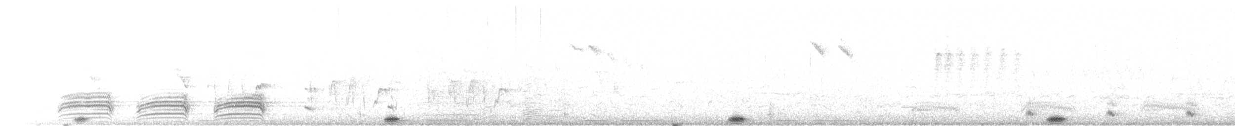 Little Bittern - ML587473421