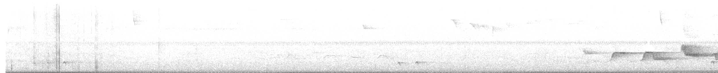 Kara Kanatlı Piranga - ML587491631