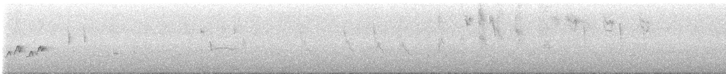 Белокрылая канделита - ML587493501