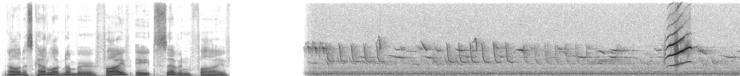 Picchion cramoisi - ML5875