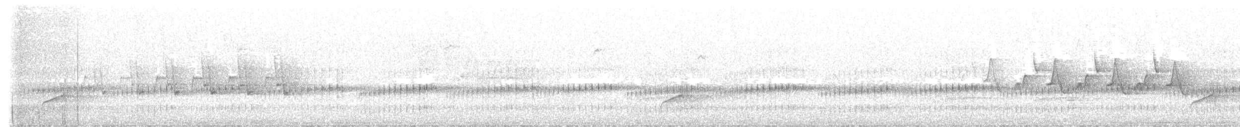 オオヒタキモドキ - ML587538791