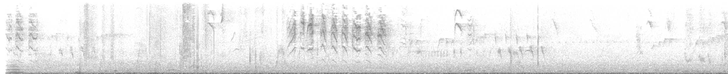 Southern House Wren - ML587545481