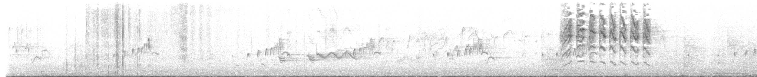 Southern House Wren - ML587545491