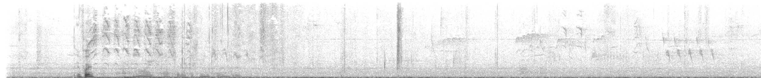 Southern House Wren - ML587545501