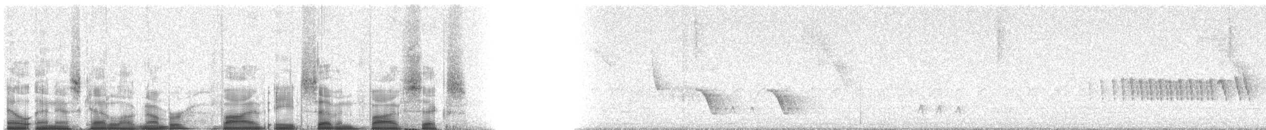 Little Tinamou - ML58756