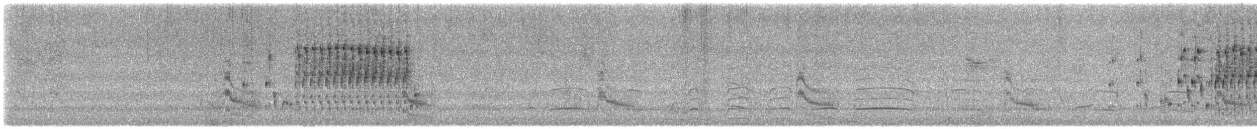 Troglodyte des marais - ML587596731