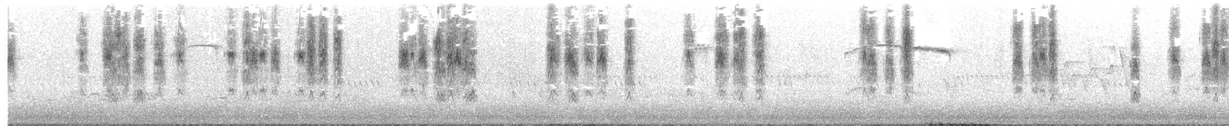 Troglodyte familier (groupe aedon) - ML587614361