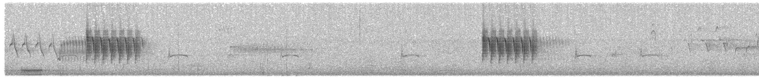 Тауї плямистий - ML587645701