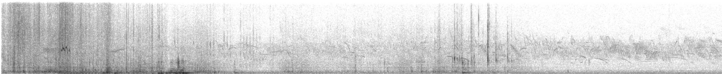 Galeper japoniarra - ML587646651