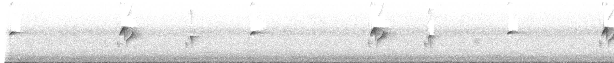 Western Flycatcher (Pacific-slope) - ML587647421