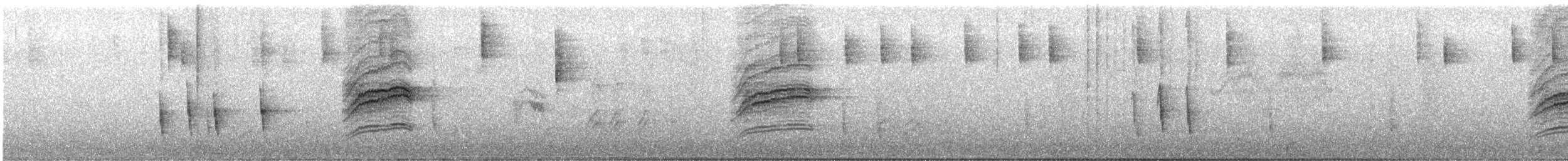 Дрізд-короткодзьоб плямистоволий - ML587656361
