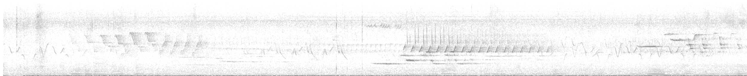 Дрізд-короткодзьоб плямистоволий - ML587662871