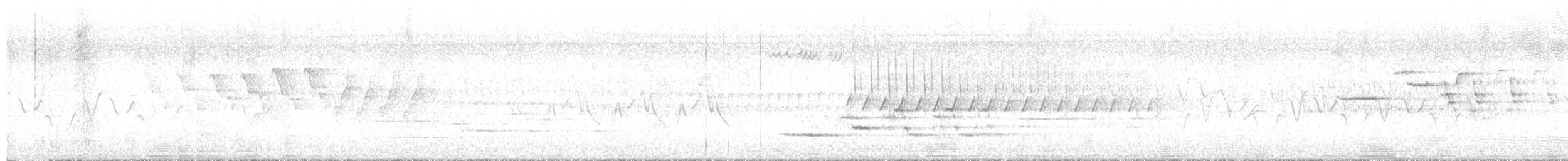 Hermit Thrush - ML587662871