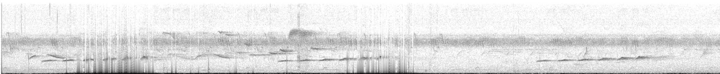 Fork-tailed Drongo-Cuckoo - ML587691961