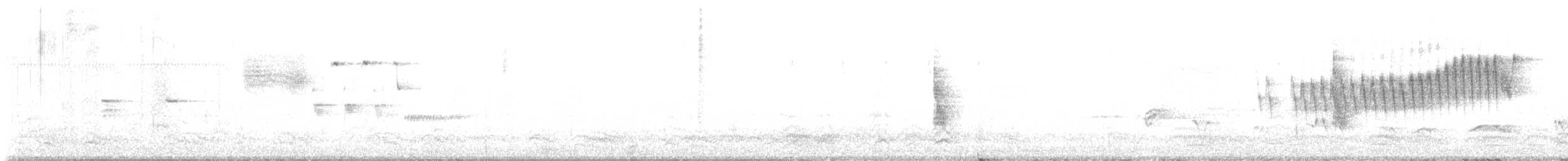 Northern Parula - ML587701421