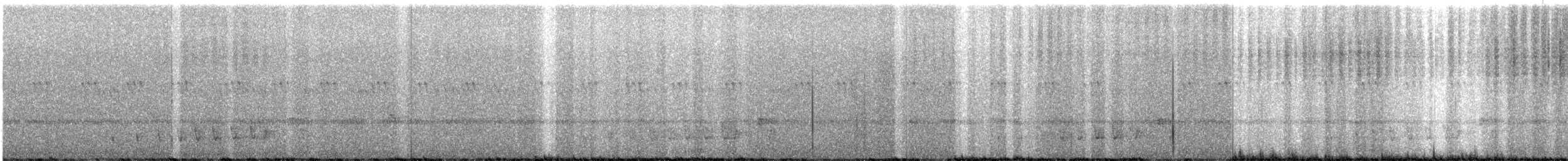 Buff-collared Nightjar - ML587717431