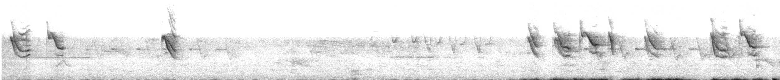 Çam Baştankarası (melanolophus) - ML587745751