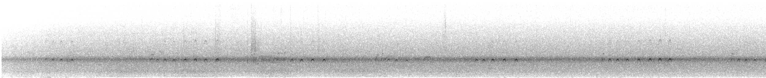 srpatka ibisovitá - ML587763581