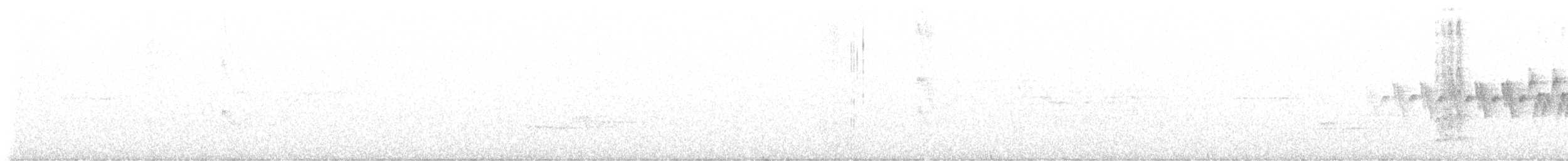 Дрізд-короткодзьоб канадський - ML587797771