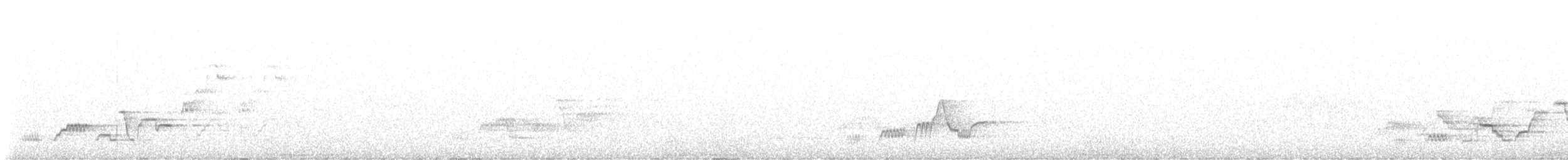 Дрізд-короткодзьоб Cвенсона - ML587798301