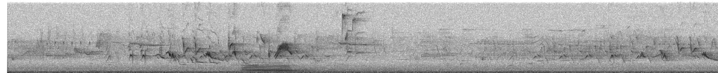 Orchard Oriole - ML587805571