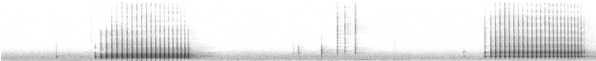 アメリカミユビゲラ（fasciatus） - ML587817441