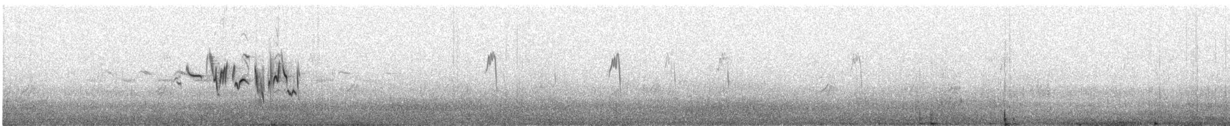 Трав’янка білошия (підвид przewalskii) - ML587830451