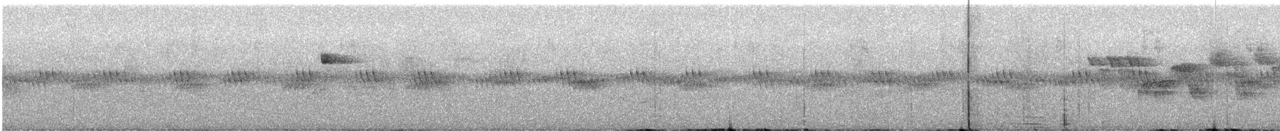 Western Flycatcher (Cordilleran) - ML587846141