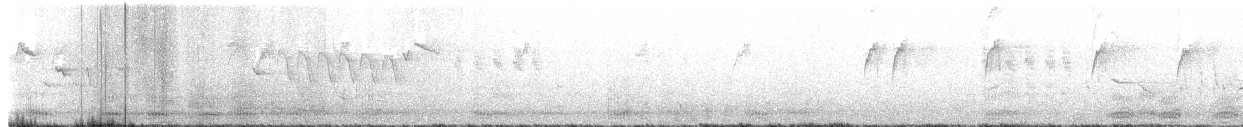 Corvo imperiale - ML587852311