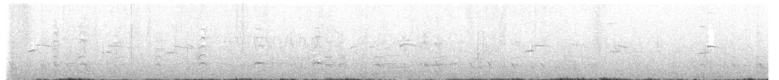 Taccola - ML587853241