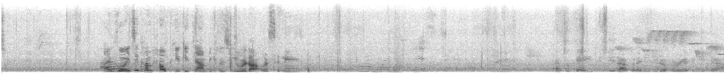 Bewick's Wren - ML587870721